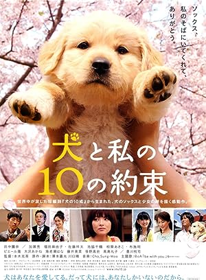 Cover image of the movie 10 Promises to My Dog (2008)