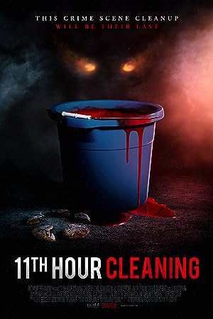 Cover image of the movie 11th Hour Cleaning (2022)