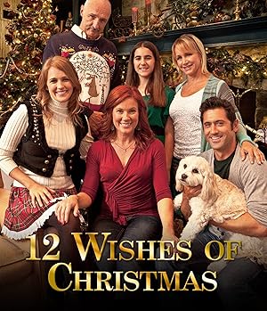 Cover image of the movie 12 Wishes of Christmas (2011)
