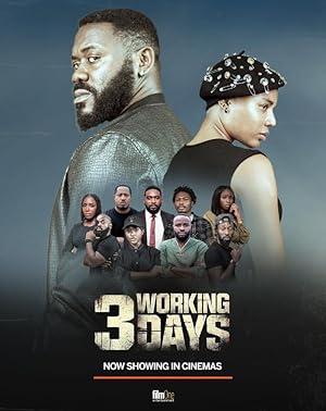 Cover image of the movie 3 Working Days (2024)