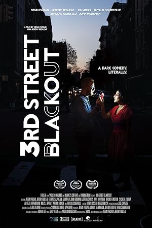 Cover image of the movie 3rd Street Blackout (2015)
