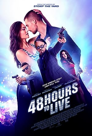 Cover image of the movie 48 Hours to Live (2016)