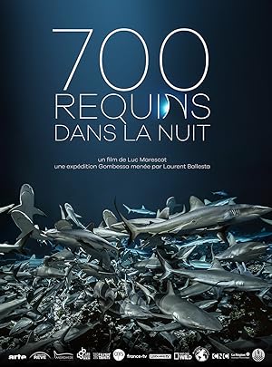 Cover image of the movie 700 Sharks (2018)
