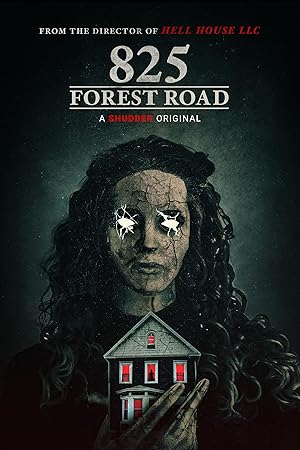 Cover image of the movie 825 Forest Road (2025)