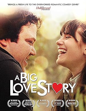 Cover image of the movie A Big Love Story (2012)