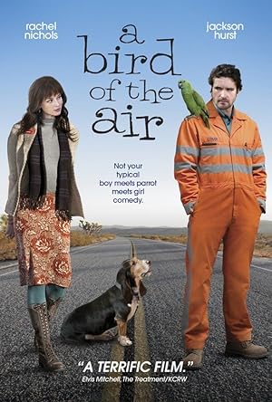 Cover image of the movie A Bird of the Air (2011)