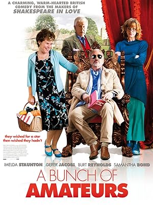 Cover image of the movie A Bunch of Amateurs (2008)