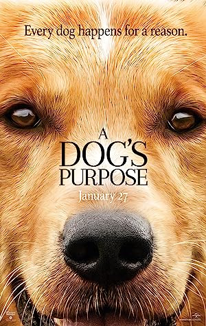 Cover image of the movie A Dog's Purpose (2017)