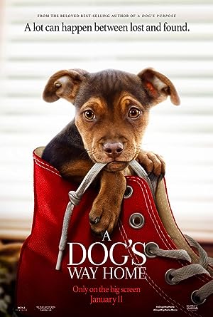 Cover image of the movie A Dog's Way Home (2019)