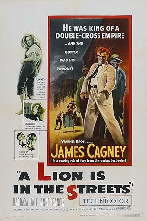 Cover image of the movie A Lion Is in the Streets (1953)