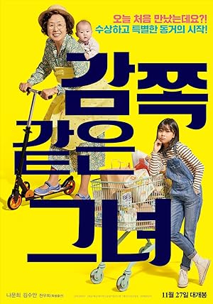 Cover image of the movie A Little Princess (2019)