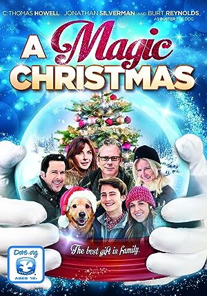 Cover image of the movie A Magic Christmas (2014)