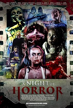 Cover image of the movie A Night of Horror: Volume 1 (2015)