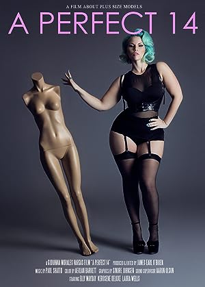Cover image of the movie A Perfect 14 (2018)