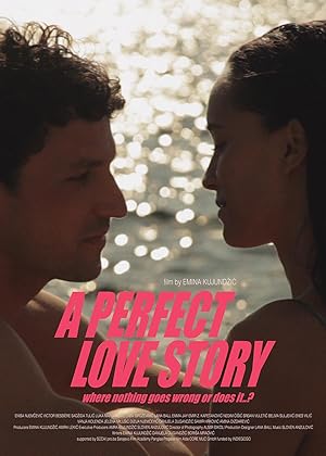 Cover image of the movie A Perfect Love Story where nothing goes wrong or does it..? (2021)