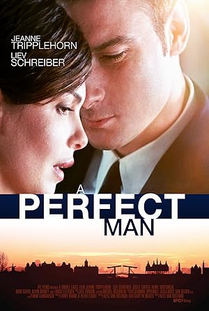 Cover image of the movie A Perfect Man (2013)