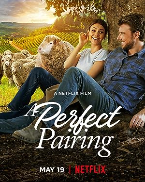 Cover image of the movie A Perfect Pairing (2022)