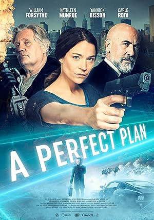 Cover image of the movie A Perfect Plan (2020)