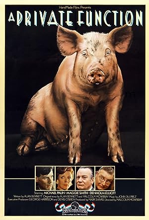 Cover image of the movie A Private Function (1984)