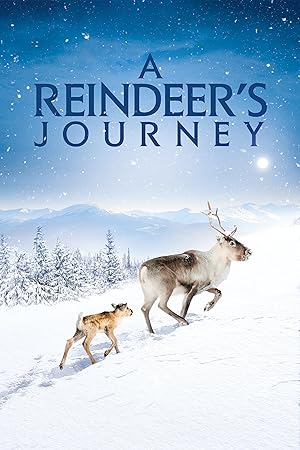 Cover image of the movie A Reindeer's Journey (2018)