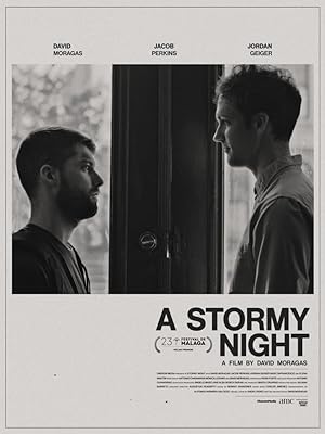 Cover image of the movie A Stormy Night (2020)