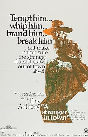 Cover image of the movie A Stranger in Town (1967)