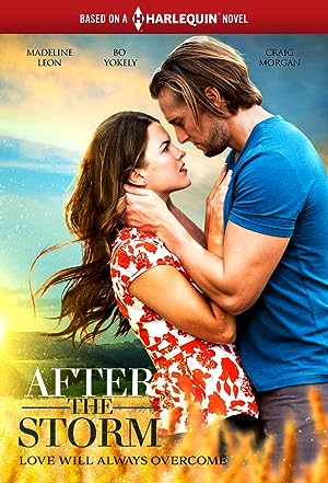 Cover image of the movie After the Storm (2019)