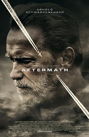Cover image of the movie Aftermath (2017)