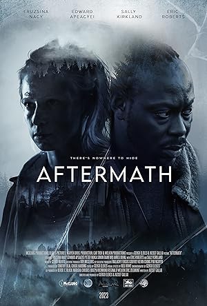 Cover image of the movie Aftermath (2024)