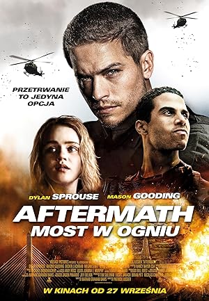 Cover image of the movie Aftermath (2024)