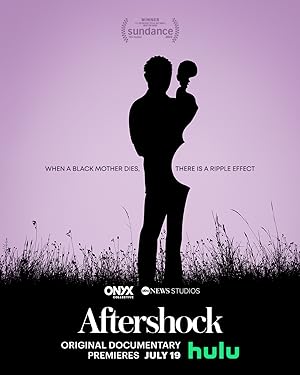 Cover image of the movie Aftershock (2022)