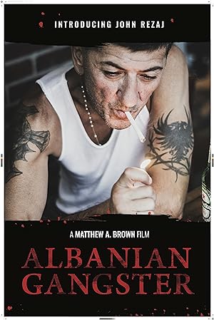 Cover image of the movie Albanian Gangster (2018)