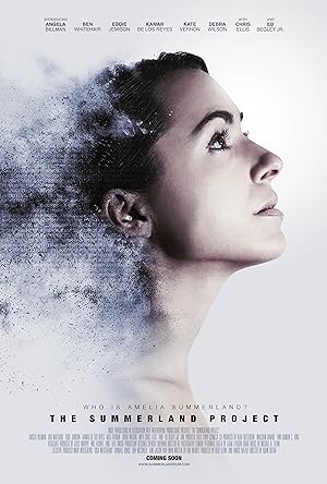 Cover image of the movie Amelia 2.0 (2017)