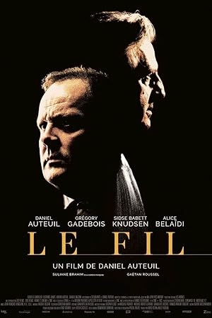 Cover image of the movie An Ordinary Case (2024)