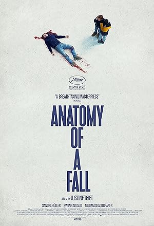 Cover image of the movie Anatomy of a Fall (2023)
