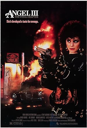 Cover image of the movie Angel III: The Final Chapter (1988)