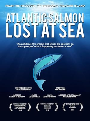 Cover image of the movie Atlantic Salmon: Lost at Sea (2018)