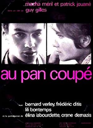 Cover image of the movie Au pan coupé (1967)