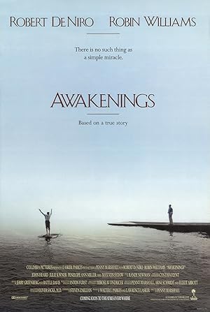 Cover image of the movie Awakenings (1990)