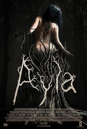 Cover image of the movie Ayla (2017)