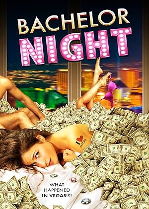Cover image of the movie Bachelor Night (2014)
