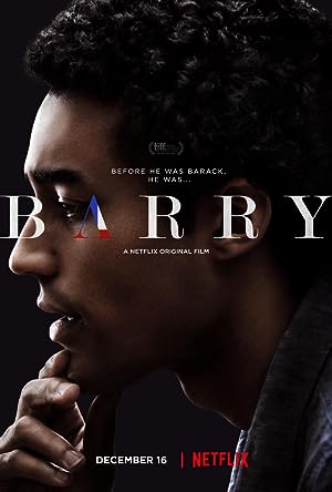 Cover image of the movie Barry (2016)