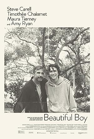 Cover image of the movie Beautiful Boy (2018)