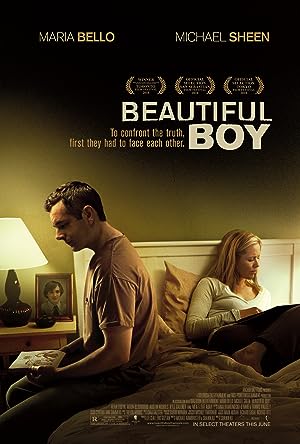 Cover image of the movie Beautiful Boy (2010)
