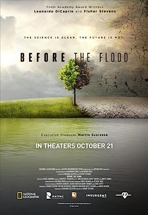 Cover image of the movie Before the Flood (2016)