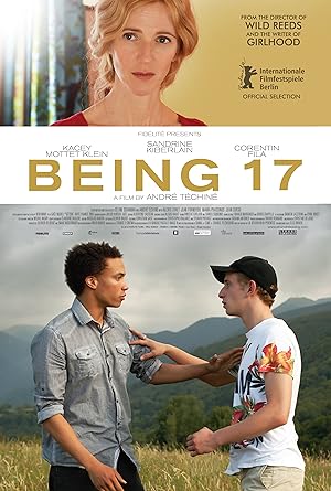 Cover image of the movie Being 17 (2016)