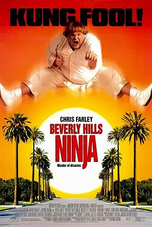 Cover image of the movie Beverly Hills Ninja (1997)
