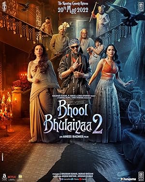 Cover image of the movie Bhool Bhulaiyaa 2 (2022)