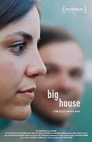 Cover image of the movie Big House (2020)