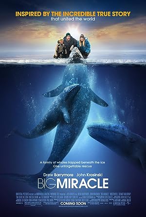 Cover image of the movie Big Miracle (2012)